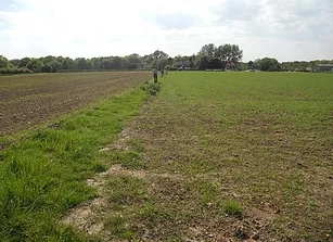 14 See photo
                      5_ This is the path which
