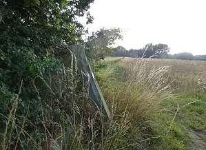 5 The path at
                      the end of the hedge wher