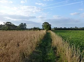 6 The path
                      going north from the above j