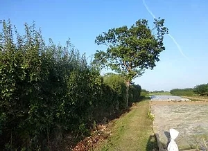 8 Looking back
                      along the path through t