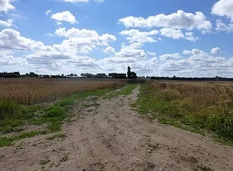 1 The beginning
                      of the path