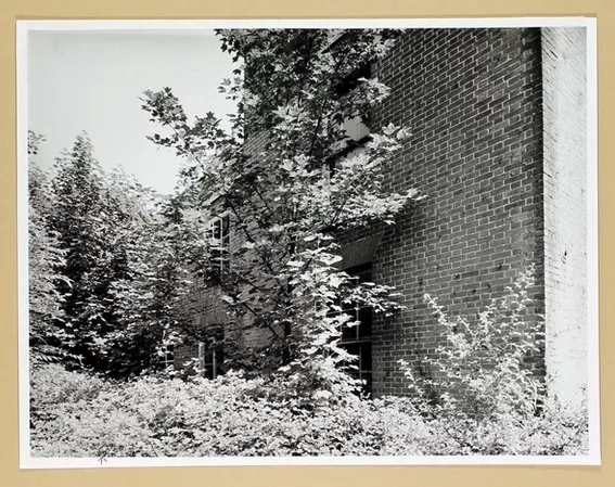 4
                      West view
