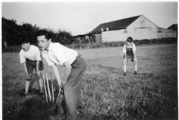 Cricket