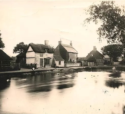 Crane's
              Green pond