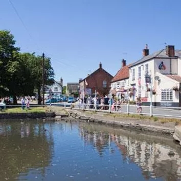 Pond and
              main road