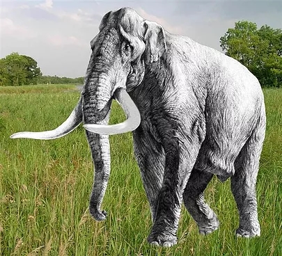 The
                West Runton elephant