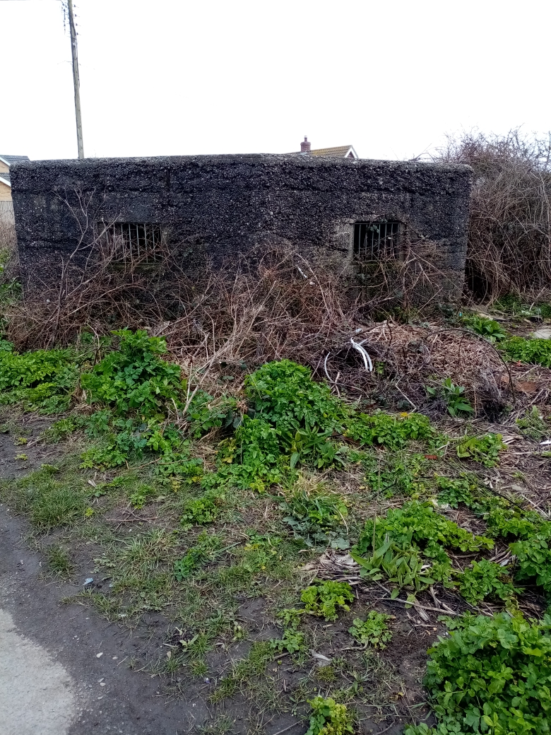 Pill box 2