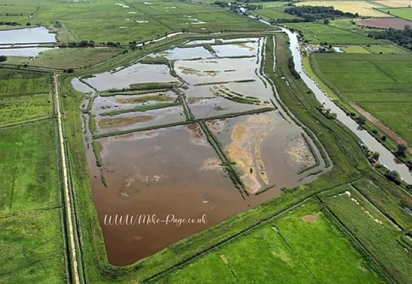 River Thurne at Martham, 2019